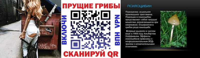 закладки  ссылка на мегу как войти  Галлюциногенные грибы прущие грибы  Чкаловск 