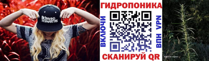 Конопля семена  где можно купить наркотик  Чкаловск 